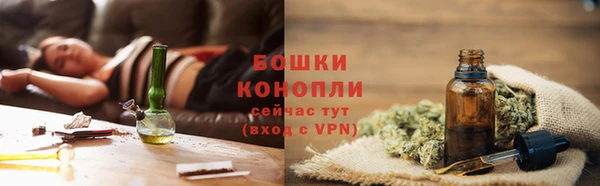PSILOCYBIN Болхов